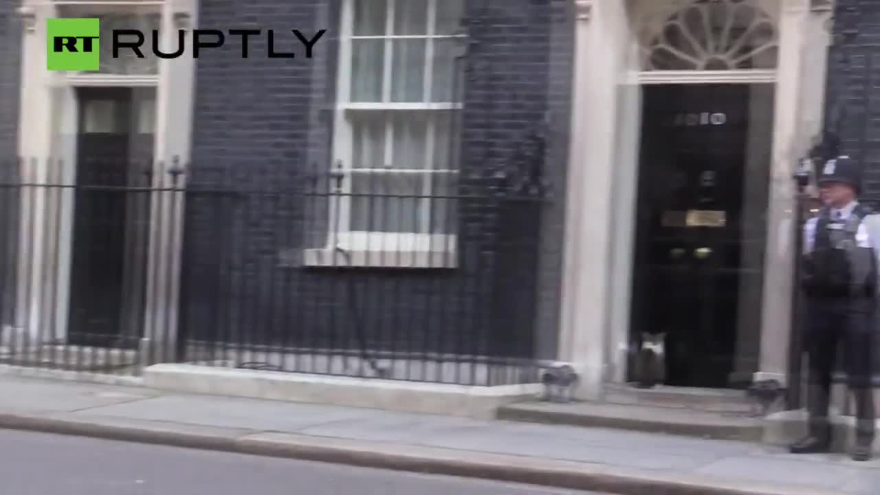 Полицай ритна котарака на Камерън при посещението на Нетаняху (видео)