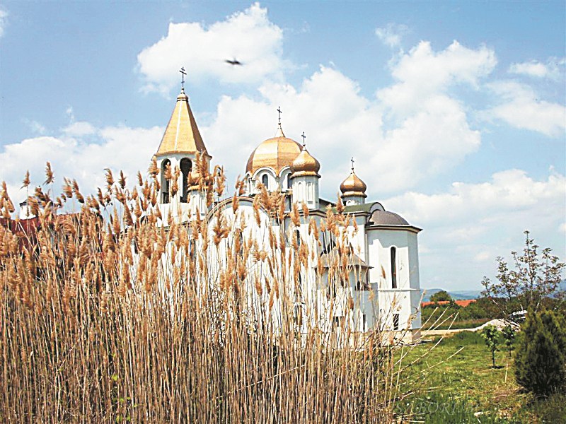 Монаси с трудови договори