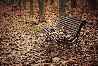 Есента ще е относително топла, обилни валежи в края на октомври