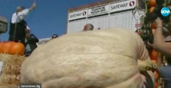 Тиква тежи 893 кг и струва 11 000 долара