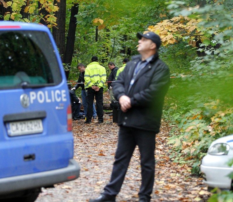 Трагедията в Борисовата градина: Дървото убиец рухнало заради дъжда? (снимки)