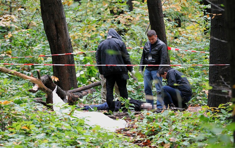 Дървото-убиец  в Борисовата градина не било маркирано като опасно (обзор)