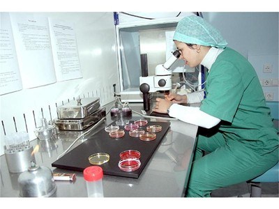 Донорски яйцеклетки скараха лекари съдружници