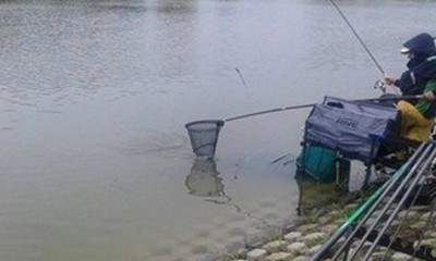 Разрешават риболова на Гребната база в Пловдив за Никулден