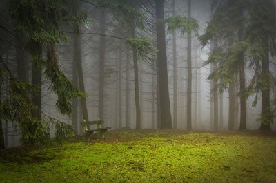 Мъгли и до 15 градуса днес
