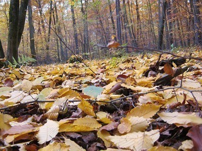 Облачно време днес и до 8°