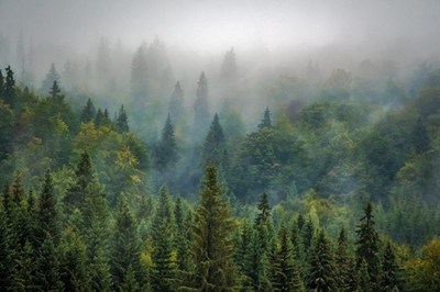 Облачно и до 8 градуса днес