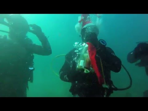 Водолази с костюми на Дядо Коледа, вдигнаха тост под водата край Бургас (Видео)