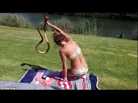 Вижте как жена по бикини хваща кобра с голи ръце - героизъм или измама?