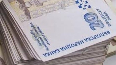 РИОСВ - Пловдив наложи санкции за над 318 000 лева през 2015 г., 50 000 лв. на свинеферма
