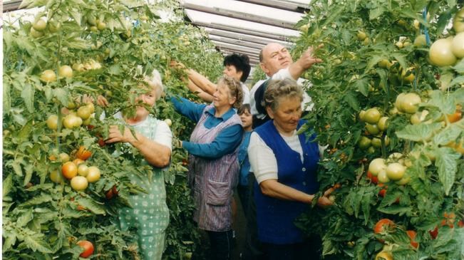 Световната банка: Работната сила в България застарява