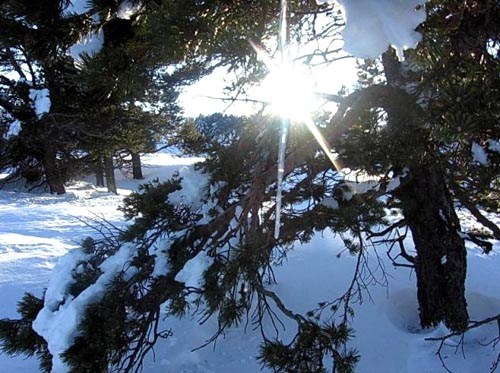 До 16° днес, чака ни слънце