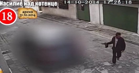 Тикнаха в затвора жесток убиец на котка
