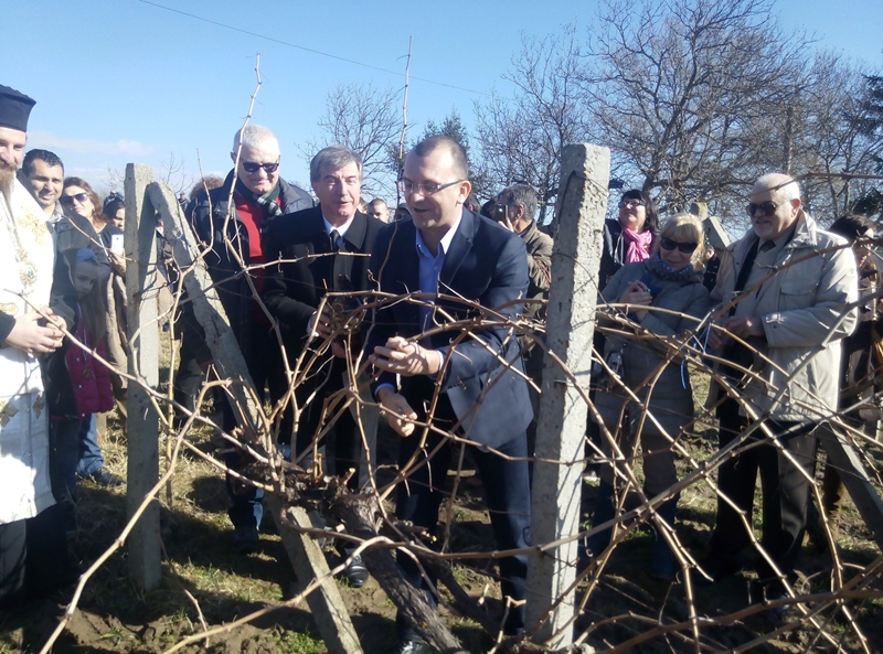 В Сунгурларе избраха цар на лозята