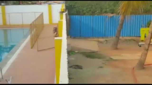 Леопард, ранил петима в училище, избяга от клетката си в зоопарка