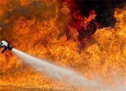 Загасиха пожара в защитените гори край Тутракан, пламнал от човешка небрежност