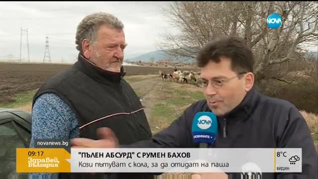 Бай Георги кара с кола на паша козите Мима и Пепа