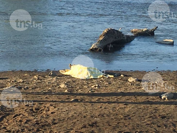 41-годишна жена се удави в Марица