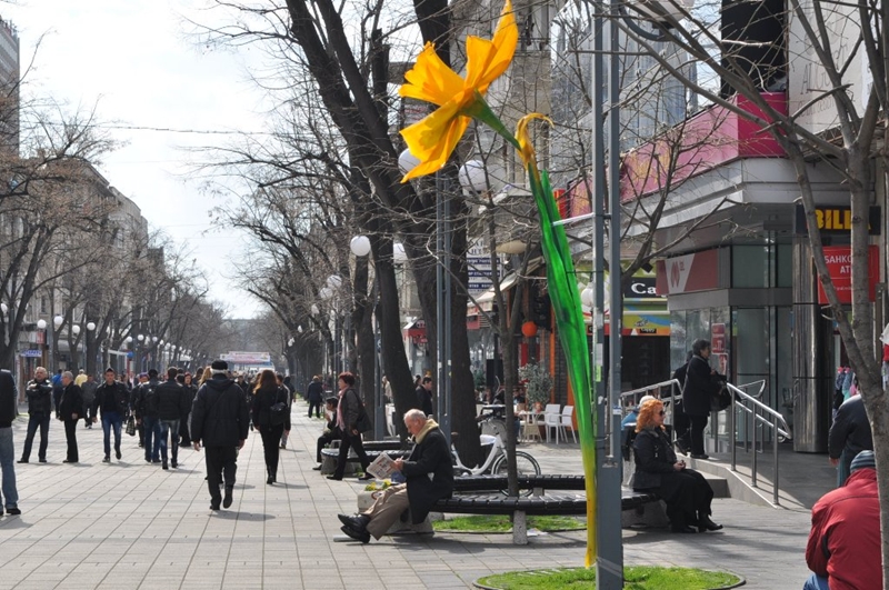 Двуметрови пролетни цветя в Бургас