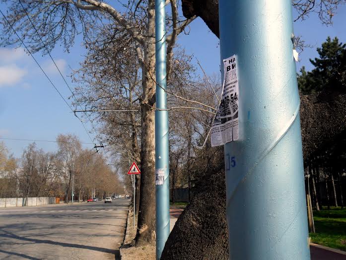 В Пловдив погнаха авторите на обяви, разлепени по стълбове и дървета