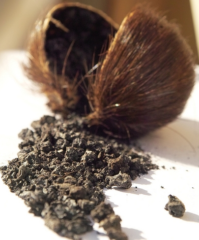 Екстрактът от мускус е базова нотка на всеки трети парфюм