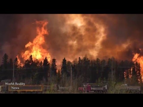 Горски пожар в канадския град Форт Макмъри принуди всички жители спешно да се евакуират