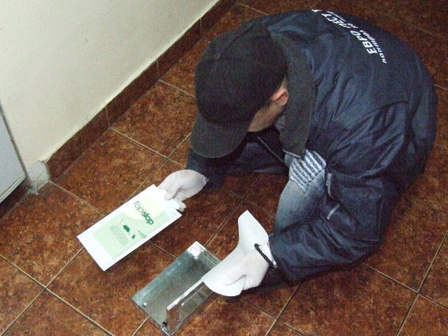 Плъхове изпълзяха в София заради дъждовете