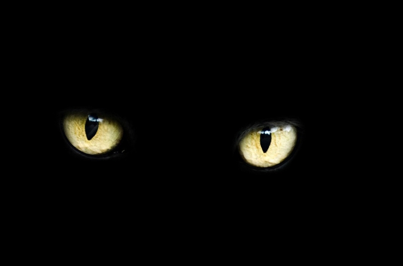 Да разбуним духовете на фаталния петък 13-и - факти и история на деня