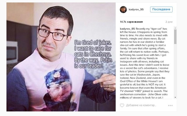 Интернет издирва избягалата котка на Рамзан Кадиров