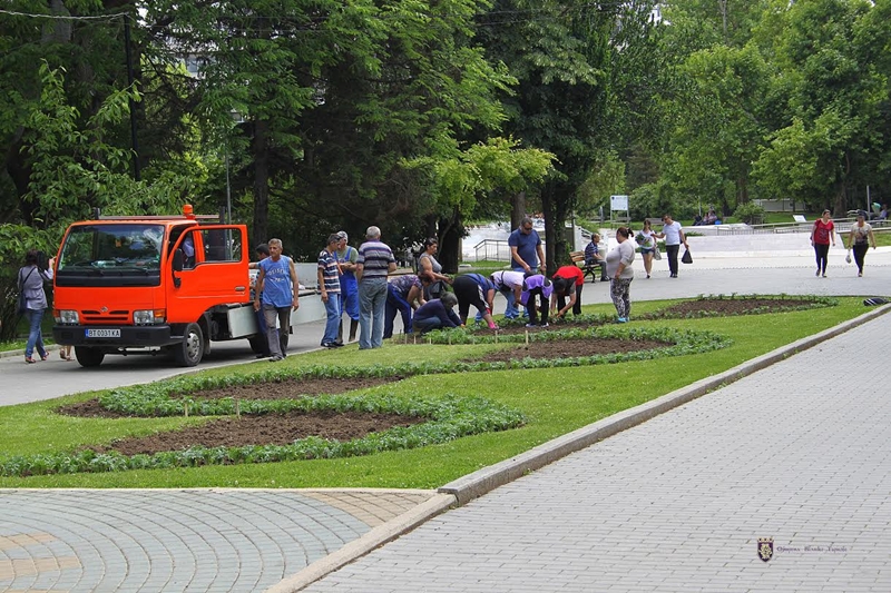 22 000 цветя, храсти и дръвчета красят Велико Търново
