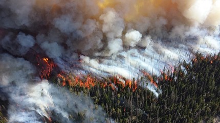 Пожар унищожи 9 дка гора край Златарица