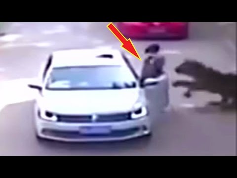 Вижте как тигър завлича и разкъсва жена до смърт в Китай