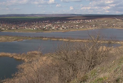 Мъртва кая изплува в Белославското езеро
