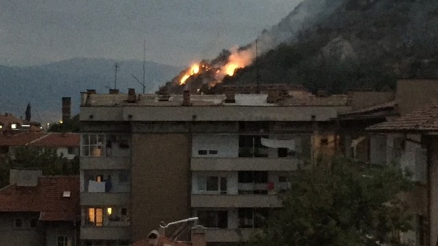 Пожар пламна на Младежкия хълм в Пловдив