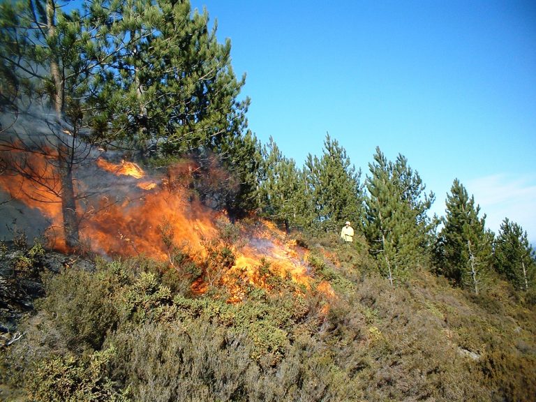 Пожарът в Сакар вече гори в две области - Стара Загора и Хасково