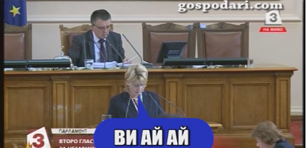 ВИ АЙ АЙ - откритието на парламента (видео)