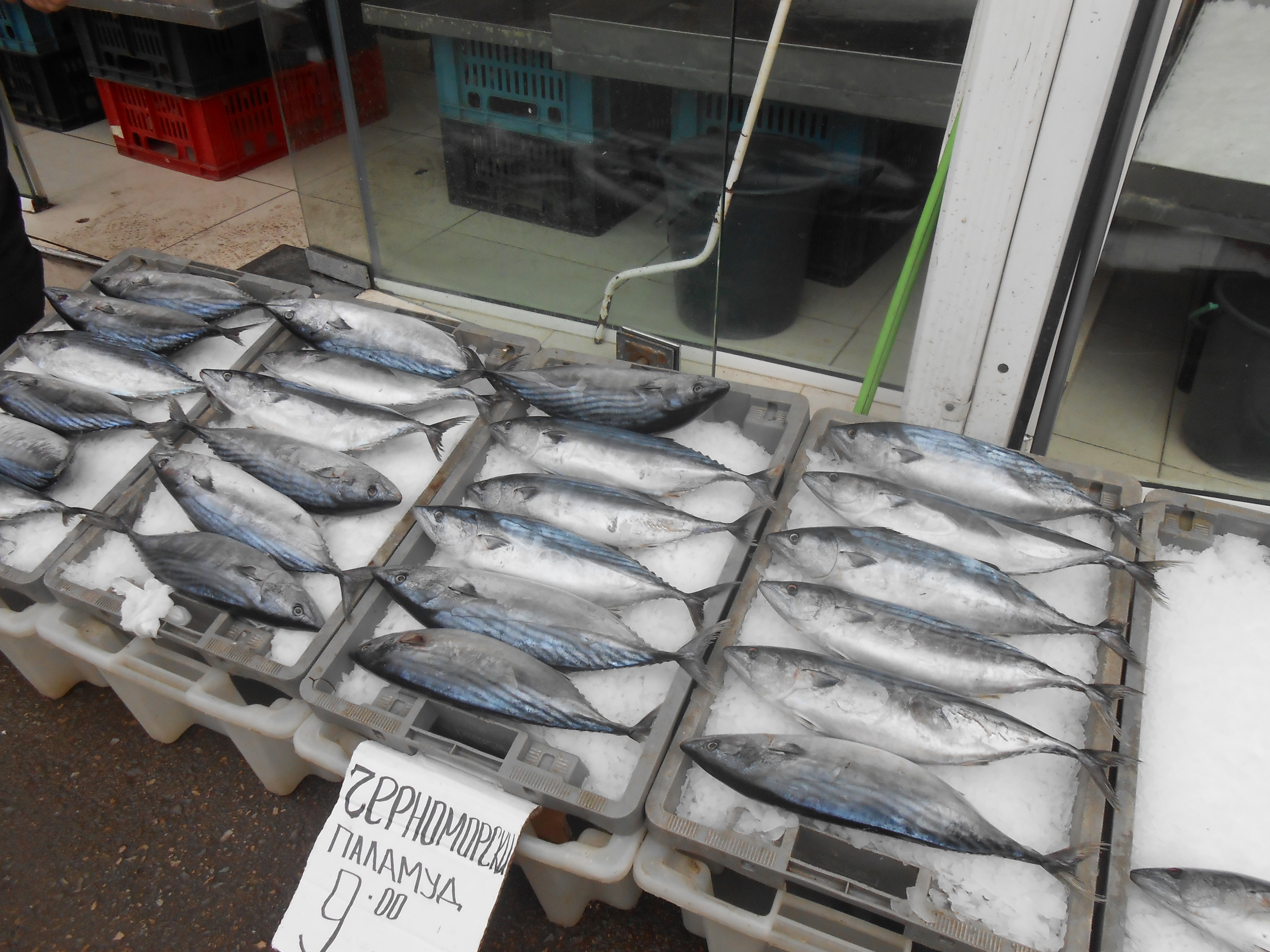 Паламудът стига 10 лева за Никулден