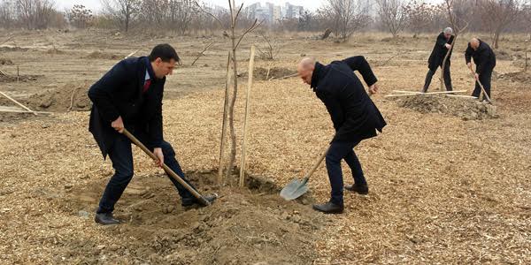 С 3000 новозасадени дръвчета се хвали кметът на район "Тракия"