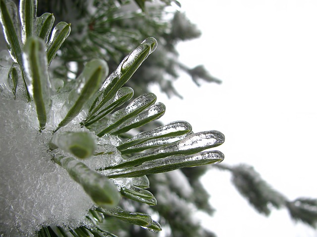Температури от -12 до 15˚ през януари, ще има и сняг
