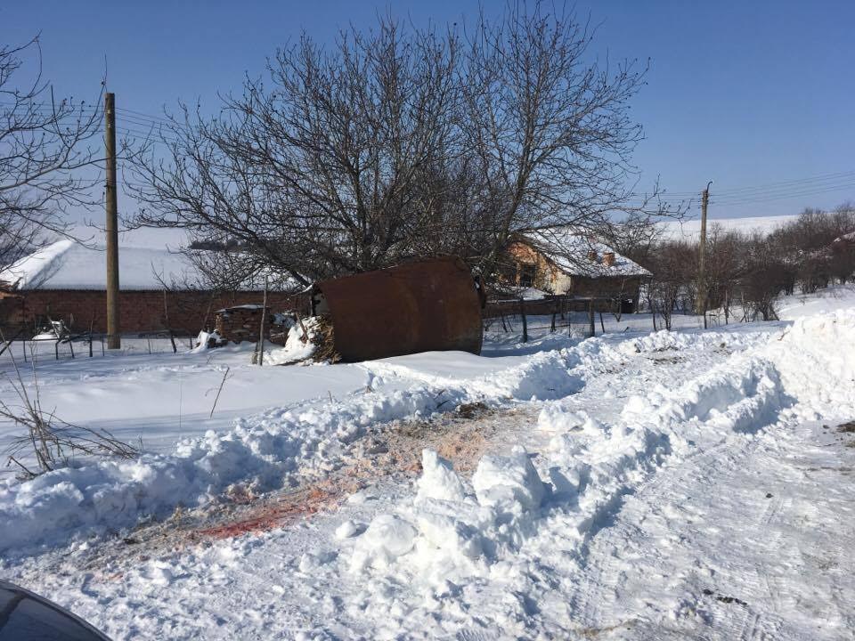 Задържани са собствениците на кучетата, разкъсали жена в Козловец