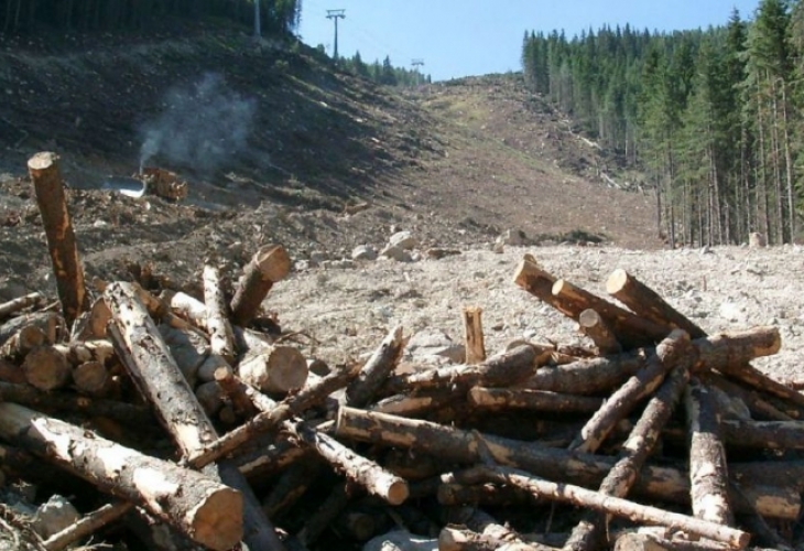 WWF се провалиха в кампанията против плана за Пирин