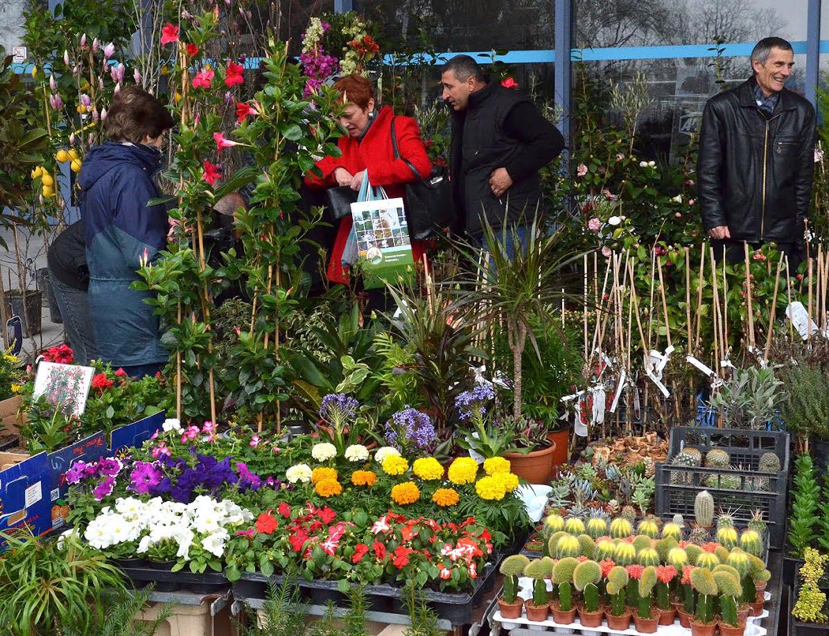 Фирми от Гърция за първи път на "Цветна пролет" в Пловдив