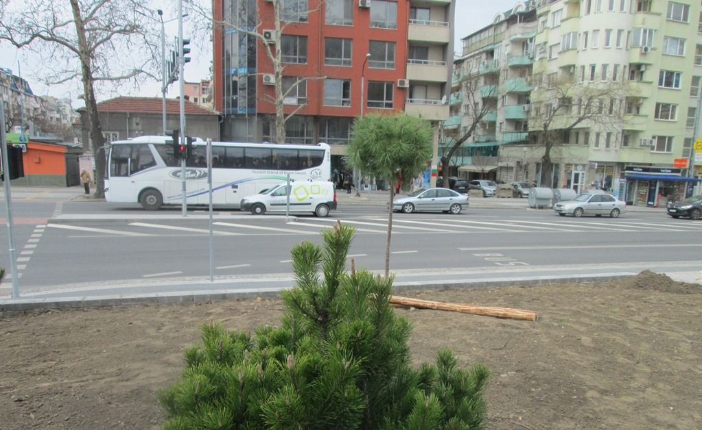 Обогатиха зеленината по пловдивски булевард