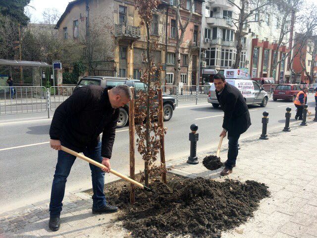Вандали посегнаха на новата зеленина по бул. "Васил Априлов" в Пловдив