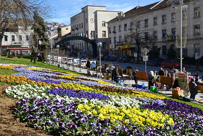7,6 % безработица в Търновско за 2016 г отчитат статистици