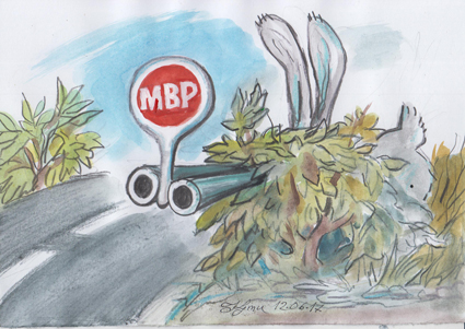 Закони от  шипковия храст