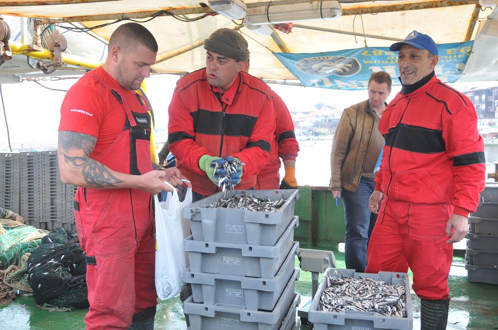 Рибари: Вадим по 150 килограма сафрид от морето