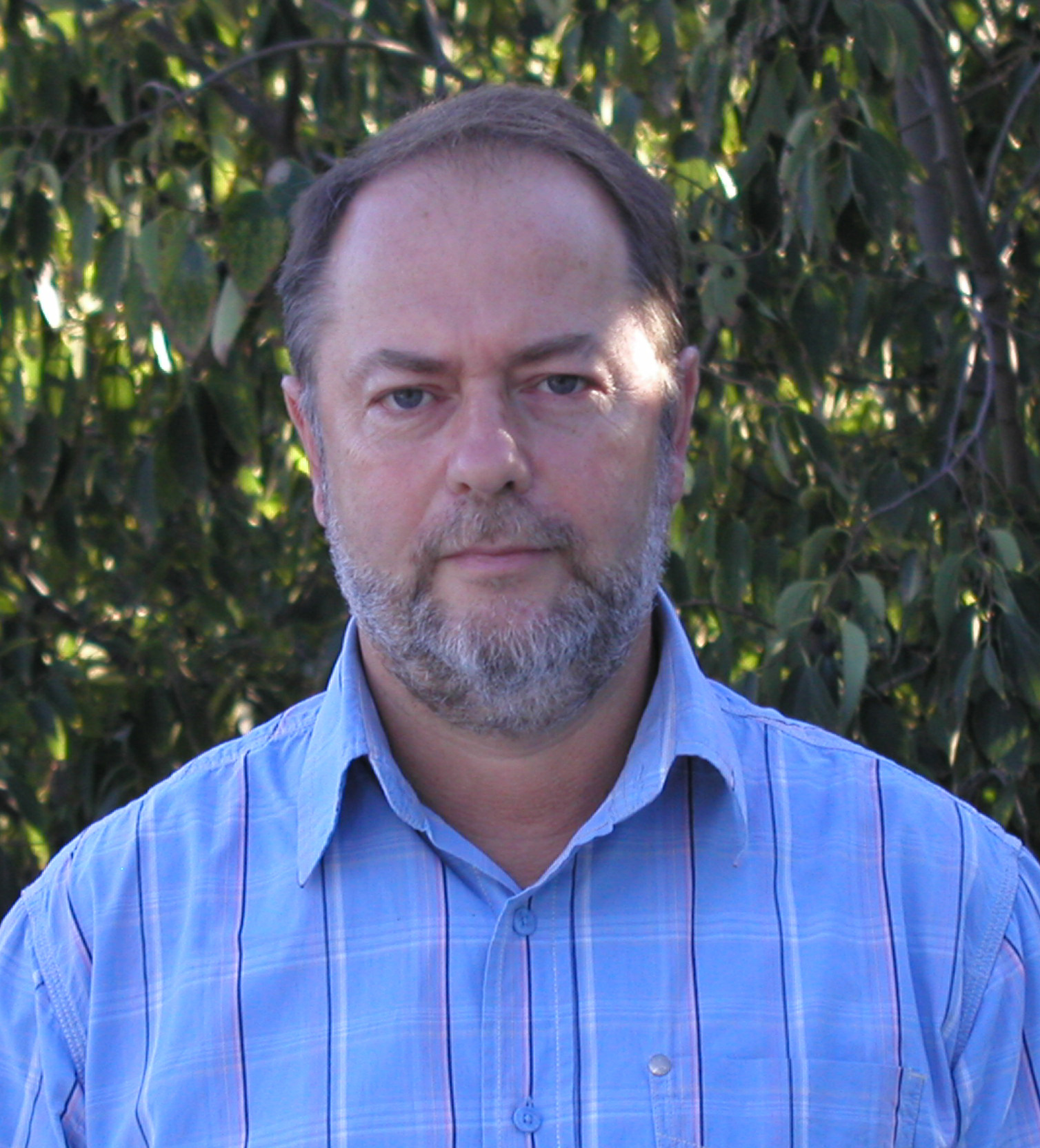 Жегите предизвикват  бум на морбили при делфините