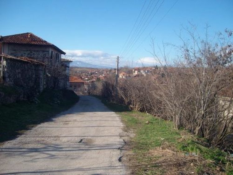 Откриха уран във водата в родното село на бивш президент на „Ботев”  (Пд)