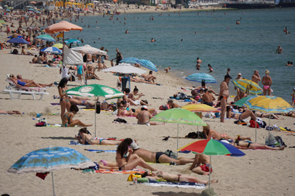 До 60% падат цените по морето